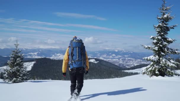 Man backpacker toeristisch wandelen sneeuwlandschap — Stockvideo