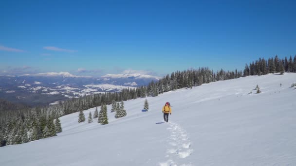 Un uomo con uno zaino viaggia in montagna in inverno — Video Stock