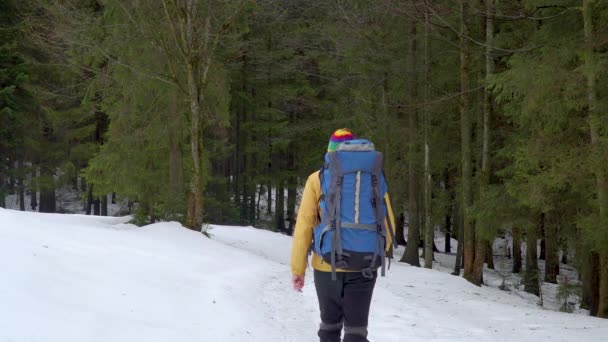 En man med ryggsäck går i vinterskogen — Stockvideo