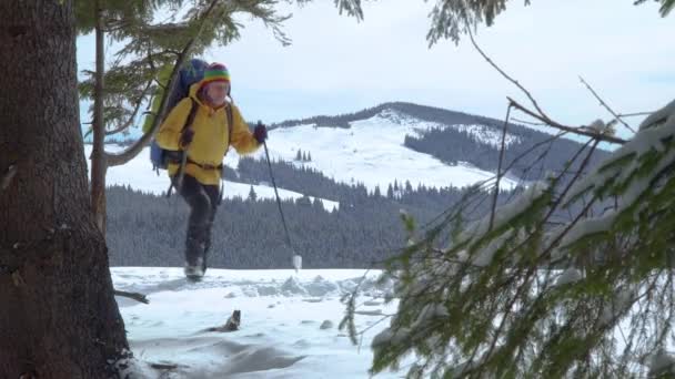 En man med ryggsäck går i vinterskogen — Stockvideo