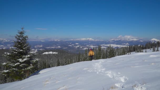 Ein Mann mit Rucksack ist im Winter in den Bergen unterwegs — Stockvideo