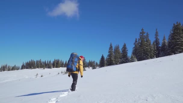 Um homem com uma mochila viaja nas montanhas no inverno — Vídeo de Stock