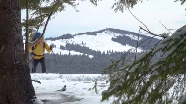 Een man met een rugzak wandelt in het winterbos — Stockvideo