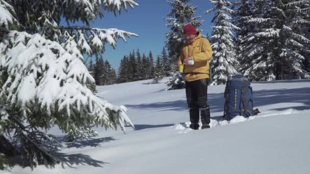 Een man drinkt thee in de winter in een winterbos — Stockvideo