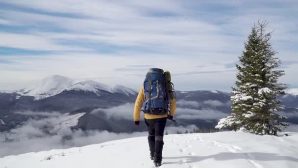 Een man met een rugzak reist in de winter door de bergen — Stockvideo