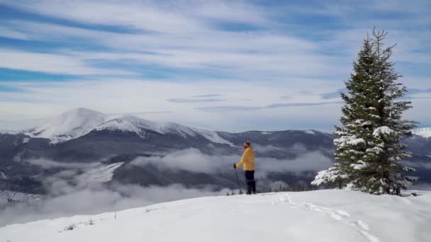 Um homem viaja nas montanhas no inverno — Vídeo de Stock