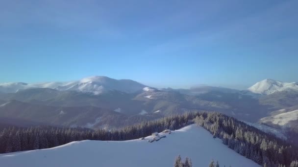 Über Häuser und Winterwald fliegen — Stockvideo