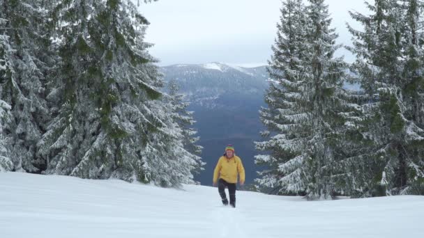 Un hombre camina en el bosque de invierno — Vídeos de Stock