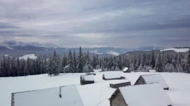 Evlerin ve Kış Ormanlarının Üzerinde Uçmak