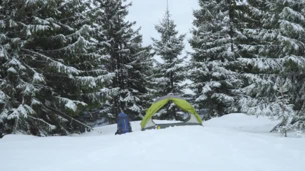 Tält i skogen på vintern — Stockvideo