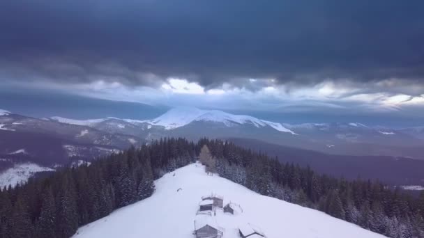 Vliegen over huizen en het winterbos — Stockvideo