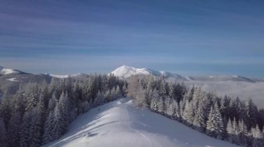 Kışın dağlarda, ormanın üzerinde uçarken