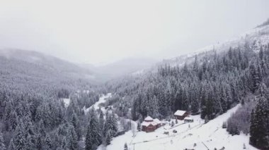 Orman üzerinde uçmak ve kışın bir dağ vadisinde bir köy