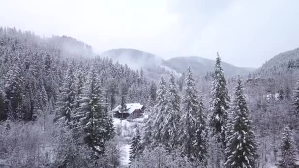Vuelo sobre el bosque y un pueblo en un valle de montaña en invierno — Vídeo de stock
