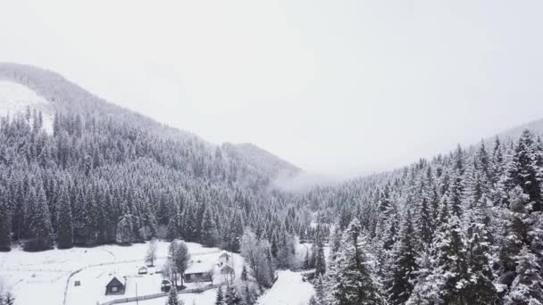 Vlucht over bos en een dorp in een bergdal in de winter — Stockvideo