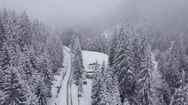 Vuelo sobre el bosque y un pueblo en un valle de montaña en invierno — Vídeos de Stock