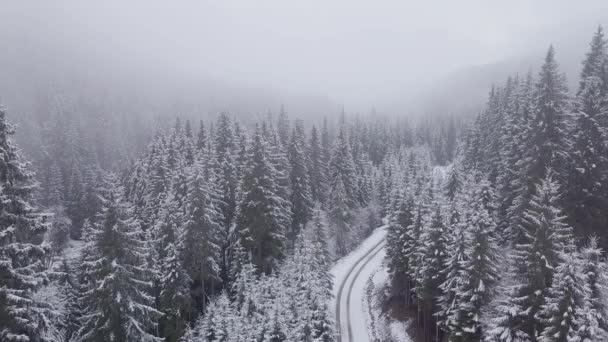 Flight over road and winter forest — Stock Video