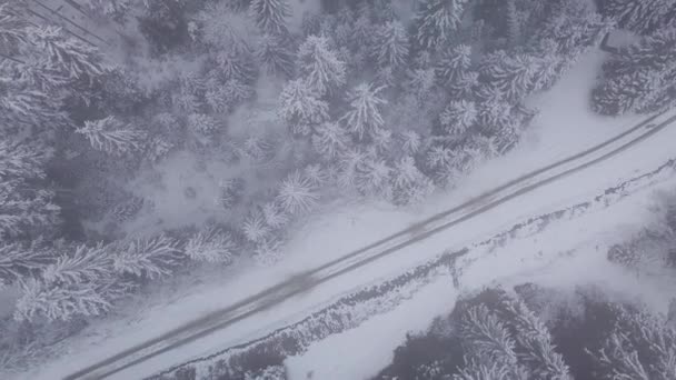 Vuelo sobre carretera y bosque de invierno — Vídeo de stock