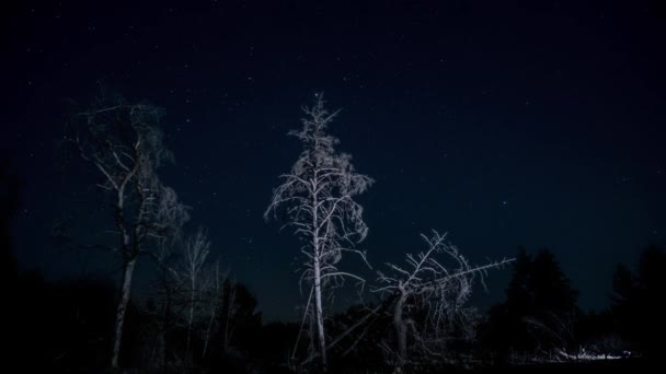 Timelapse рухомих зірок в нічному небі — стокове відео