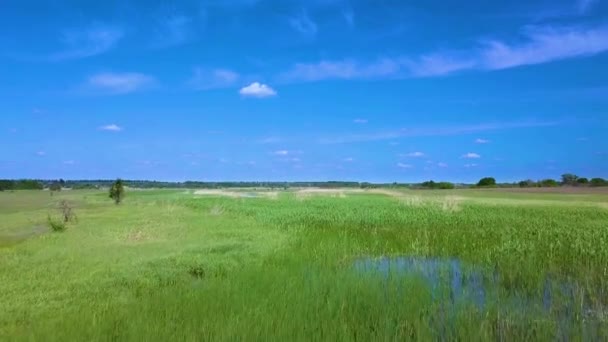 Vlucht over groene weide en rivier in het voorjaar — Stockvideo