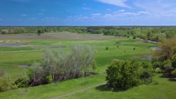 Vuelo sobre prado verde y lago en primavera — Vídeos de Stock