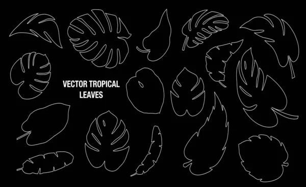 Tropical Deja Colección Vectorial — Vector de stock