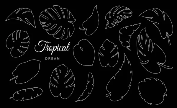 Tropical Deja Colección Vectorial — Vector de stock