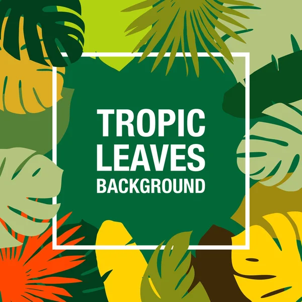 Tropikal Yaprak Vektör Arkaplanı