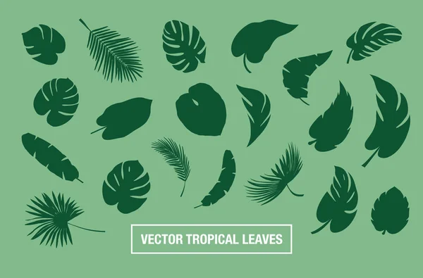 Tropical Deja Colección Vectorial — Vector de stock