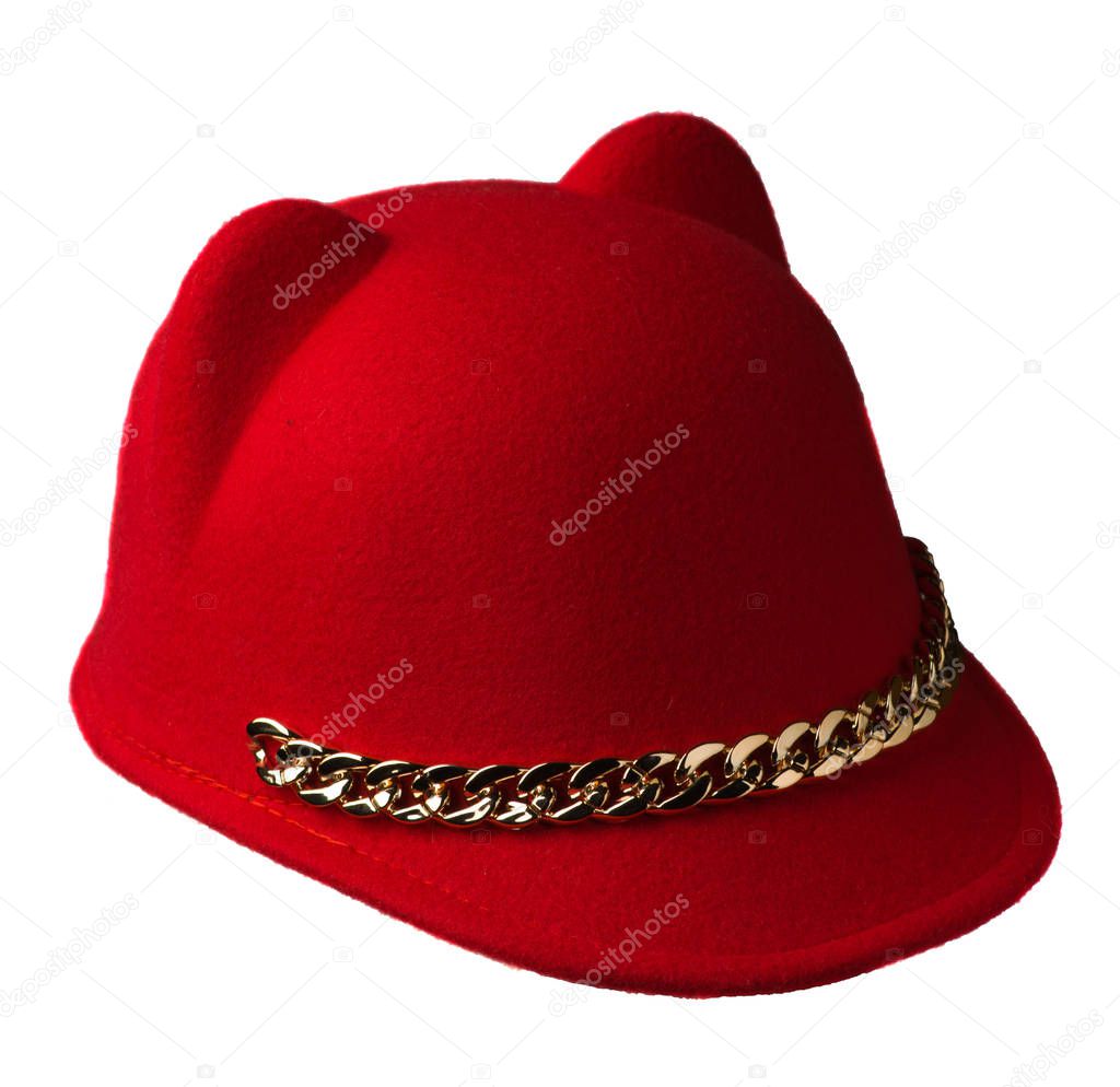   fedora hat isolated on white background .fedora hat with ears 
