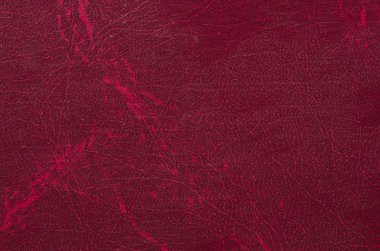 deri dokusuna portre.  