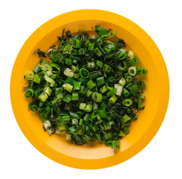 Salad dengan bawang dan dill di piring — Stok Foto