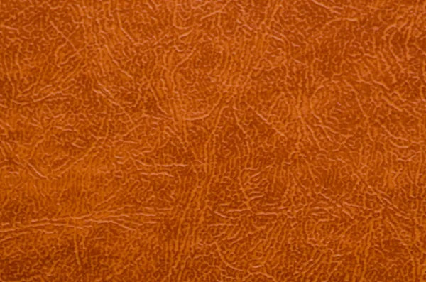 Closeup textuur van de huid. — Stockfoto