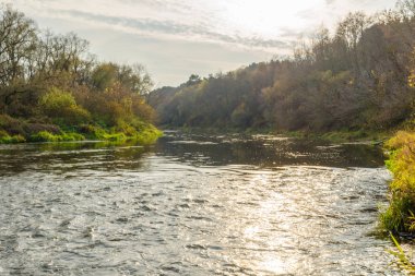 Sonbahar manzarası. Sonbahar ormanında nehir  
