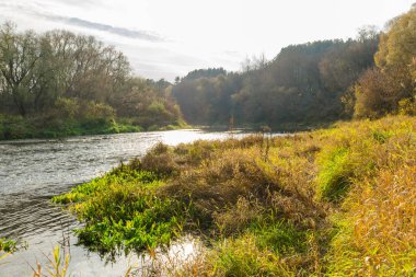 Sonbaharda nehir. Belarus 'ta sonbahar manzarası. Nat' in güzelliği.