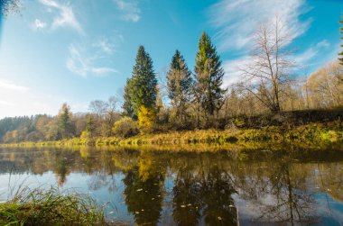 B 'de parlak sarı yapraklı sonbahar su manzarası
