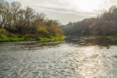 Sonbahar manzarası. Sonbahar ormanında nehir  
