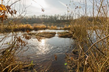   Sonbahar ormanında gün batımında nehir. Nehir dibe gidiyor.