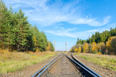  Sonbahar ormanındaki tren yolu. Sonbahar arifesinde demiryolu.