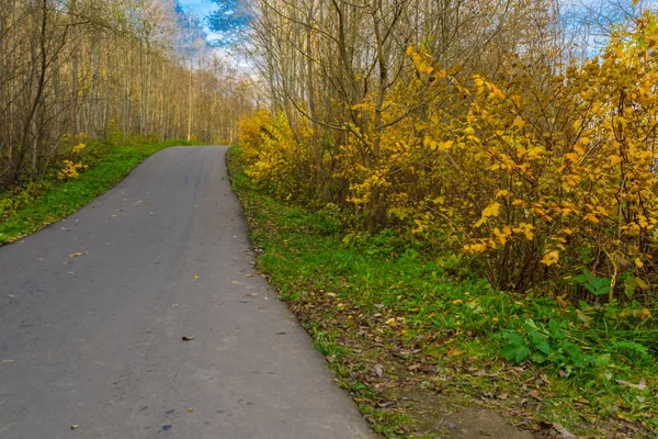 paved road stretching into the distance. road in the autumn