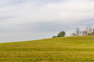 Sonbaharda kırsal alanlar ve arka planda genç ekinler ve ormanlar