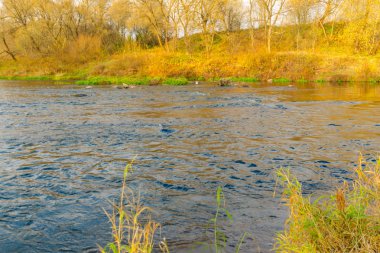 Sonbahar manzarası. Sonbahar ormanında nehir