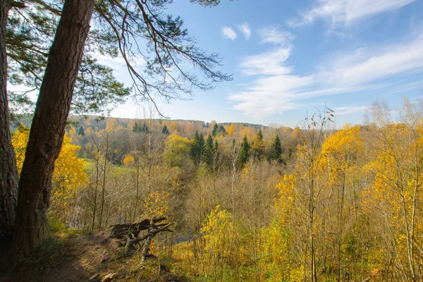 Gyönyörű őszi táj. a fák élénk színei ősszel — Stock Fotó