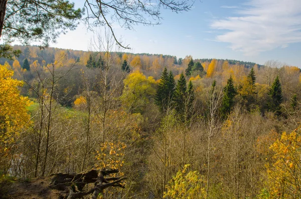 Gyönyörű őszi táj. a fák élénk színei ősszel — Stock Fotó