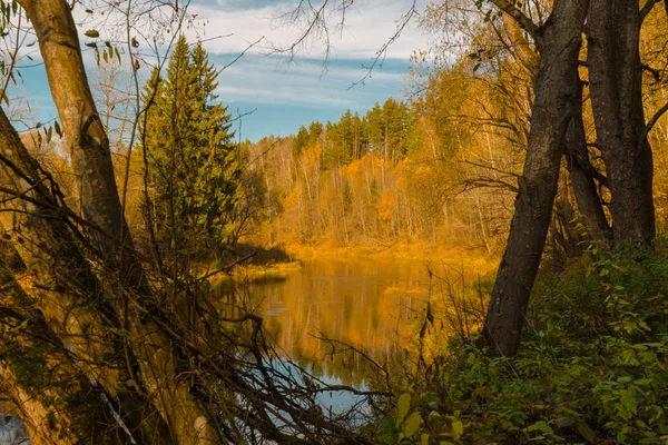 Folyó az őszi erdőben. táj erdő folyó ősszel — Stock Fotó