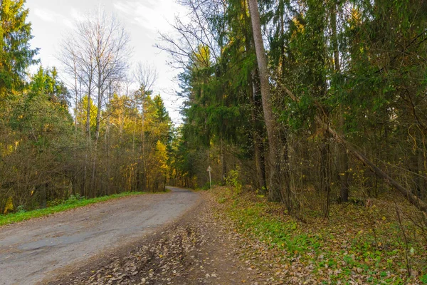 paved road stretching into the distance. road in the autumn