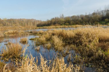 Sonbaharda günbatımında sakin nehir.