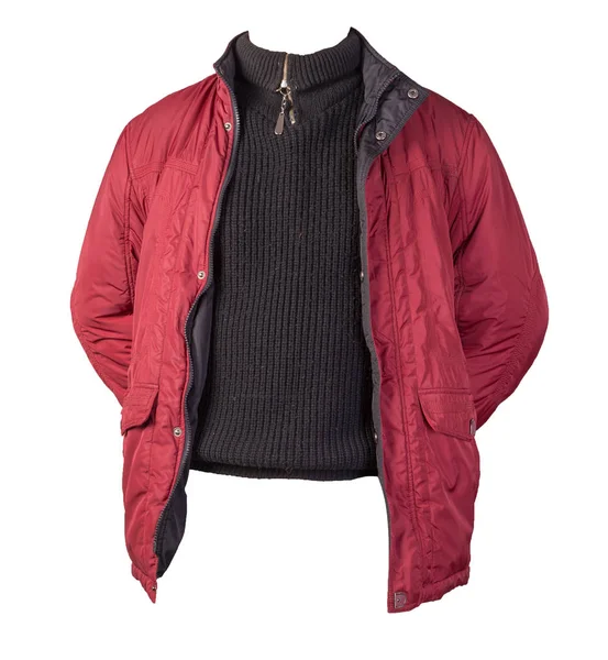 Red Jacket Black Sweater Isolated White Background Bologna Jacket Wool — 스톡 사진