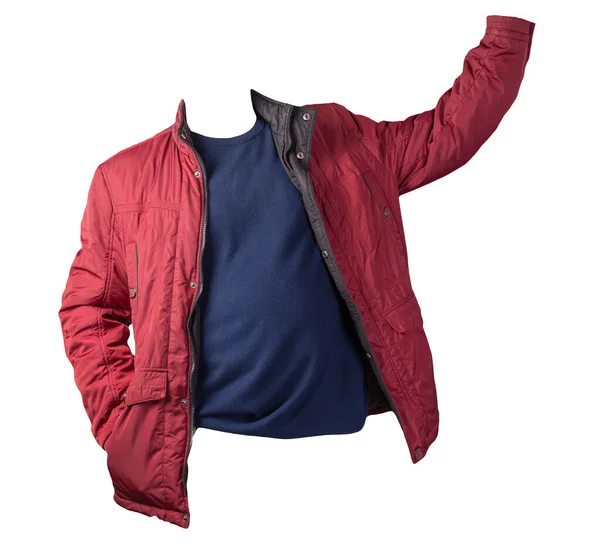 Jaqueta Vermelha Camisola Azul Escuro Isolado Revestimento Background Bologna Branco — Fotografia de Stock
