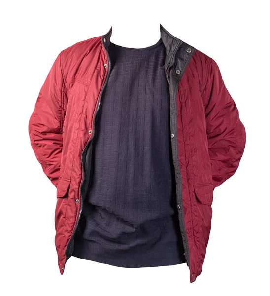 Red Jacket Dark Blue Sweater Isolated White Background Bologna Jacket — 스톡 사진